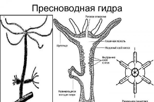 Рабочая ссылка на blacksprut blacksprut click